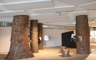 Baumstämme ragen verteilt in einem Innenraum bis zur Decke