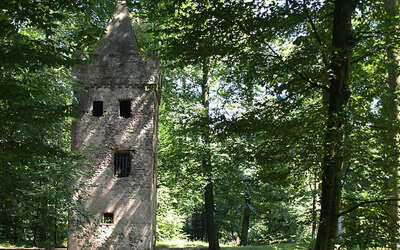 Vergrößerte Ansicht: Ruine im Wald