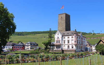 Vergrößerte Ansicht: Blick auf die Boosenburg