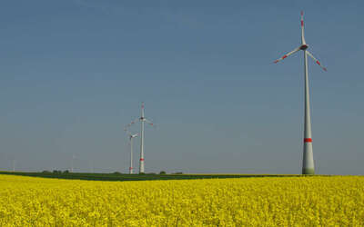 Vergrößerte Ansicht: Gelbe Felder voller Raps, blauer Himmel