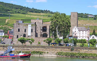 Vergrößerte Ansicht: Burg vor Weinbergen