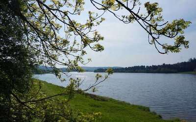 Vergrößerte Ansicht: Blick vom Ufer auf den See