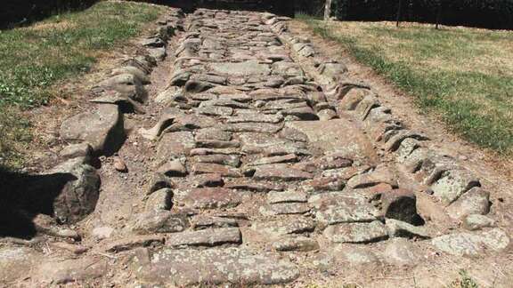 Brüder Grimm-Haus Strassenbelag Vergrößerte Ansicht: abschüssiger Weg mit großen unebenen Steinen gepflastert, rechts und links Rasen