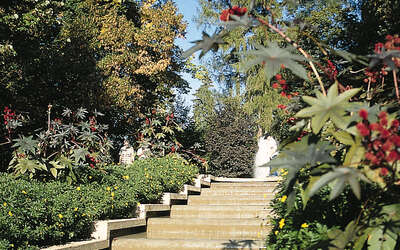 Vergrößerte Ansicht: Treppe zwischen grünen Pflanzen und Bäumen