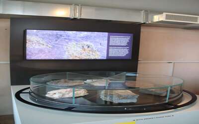 Steine auf einem Zylinder unter einem gläsernen Deckel