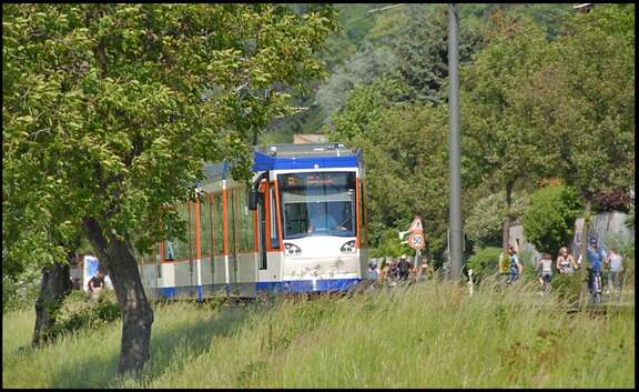 Eine Straßenbahn fährt durch eine grüne Landschaft.