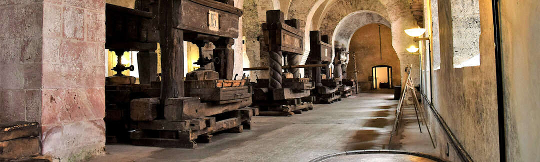 Gewölbe mit historischen Weinkeltern.