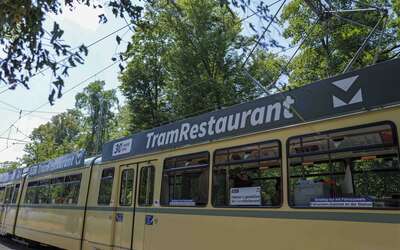 Die Tram fährt quer durchs Bild, oben Bäume und blauer Himmel